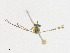  ( - CBG-A18364-D01)  @11 [ ] CreativeCommons - Attribution Share - Alike (2023) CBG Photography Group Centre for Biodiversity Genomics