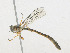  ( - CBG-A18364-E02)  @11 [ ] CreativeCommons - Attribution Share - Alike (2023) CBG Photography Group Centre for Biodiversity Genomics