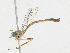  ( - CBG-A18364-E04)  @11 [ ] CreativeCommons - Attribution Share - Alike (2023) CBG Photography Group Centre for Biodiversity Genomics
