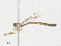  ( - CBG-A18364-E06)  @11 [ ] CreativeCommons - Attribution Share - Alike (2023) CBG Photography Group Centre for Biodiversity Genomics