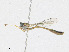  ( - CBG-A18364-E07)  @11 [ ] CreativeCommons - Attribution Share - Alike (2023) CBG Photography Group Centre for Biodiversity Genomics
