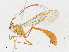  ( - CBG-A21687-C06)  @11 [ ] CreativeCommons - Attribution Share-Alike (2023) CBG Photography Group Centre for Biodiversity Genomics