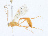  ( - CBG-A23318-H03)  @11 [ ] CreativeCommons - Attribution Share - Alike (2023) CBG Photography Group Centre for Biodiversity Genomics