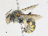  ( - CBG-A23319-E03)  @11 [ ] CreativeCommons - Attribution Share-Alike (2023) CBG Photography Group Centre for Biodiversity Genomics
