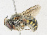  ( - CBG-A23319-E12)  @11 [ ] CreativeCommons - Attribution Share-Alike (2023) CBG Photography Group Centre for Biodiversity Genomics