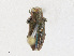 ( - CBG-A23320-B01)  @11 [ ] CreativeCommons - Attribution Share - Alike (2023) CBG Photography Group Centre for Biodiversity Genomics