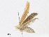  ( - CBG-A24198-A12)  @11 [ ] CreativeCommons - Attribution Share - Alike (2023) CBG Photography Group Centre for Biodiversity Genomics