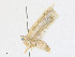  ( - CBG-A24198-B03)  @11 [ ] CreativeCommons - Attribution Share - Alike (2023) CBG Photography Group Centre for Biodiversity Genomics