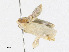  ( - CBG-A24198-B08)  @11 [ ] CreativeCommons - Attribution Share - Alike (2023) CBG Photography Group Centre for Biodiversity Genomics