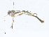  ( - CBG-A24199-H03)  @11 [ ] CreativeCommons - Attribution Share-Alike (2023) CBG Photography Group Centre for Biodiversity Genomics