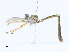  ( - CBG-A24199-H04)  @11 [ ] CreativeCommons - Attribution Share-Alike (2023) CBG Photography Group Centre for Biodiversity Genomics
