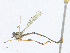  ( - CBG-A24199-H05)  @11 [ ] CreativeCommons - Attribution Share-Alike (2023) CBG Photography Group Centre for Biodiversity Genomics