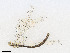  ( - CBG-A21752-G09)  @11 [ ] CreativeCommons - Attribution Share - Alike (2023) CBG Photography Group Centre for Biodiversity Genomics