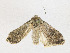 ( - CBG-A23320-G06)  @11 [ ] CreativeCommons - Attribution Share - Alike (2023) CBG Photography Group Centre for Biodiversity Genomics