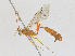  ( - CBG-A23380-D03)  @11 [ ] CreativeCommons - Attribution Share - Alike (2024) CBG Photography Group Centre for Biodiversity Genomics