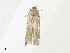  ( - CBG-A23388-B12)  @11 [ ] CreativeCommons - Attribution Share - Alike (2023) CBG Photography Group Centre for Biodiversity Genomics
