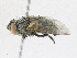  ( - CBG-A23390-B05)  @11 [ ] CreativeCommons - Attribution Share - Alike (2023) CBG Photography Group Centre for Biodiversity Genomics
