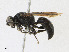  ( - CBG-A23391-B11)  @11 [ ] CreativeCommons - Attribution Share - Alike (2023) CBG Photography Group Centre for Biodiversity Genomics