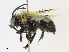  ( - CBG-A23431-B11)  @11 [ ] CreativeCommons - Attribution Share - Alike (2023) CBG Photography Group Centre for Biodiversity Genomics