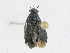  ( - CBG-A24210-B02)  @11 [ ] CreativeCommons - Attribution Share - Alike (2023) CBG Photography Group Centre for Biodiversity Genomics