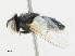  ( - CBG-A24210-G10)  @11 [ ] CreativeCommons - Attribution Share - Alike (2023) CBG Photography Group Centre for Biodiversity Genomics
