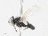  ( - CBG-A24210-G11)  @11 [ ] CreativeCommons - Attribution Share - Alike (2023) CBG Photography Group Centre for Biodiversity Genomics