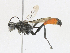  ( - CBG-A24211-C05)  @11 [ ] CreativeCommons - Attribution Share - Alike (2024) CBG Photography Group Centre for Biodiversity Genomics
