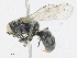  ( - CBG-A24212-E07)  @11 [ ] CreativeCommons - Attribution Share - Alike (2024) CBG Photography Group Centre for Biodiversity Genomics