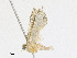  ( - CBG-A24277-C05)  @11 [ ] CreativeCommons - Attribution Share - Alike (2023) CBG Photography Group Centre for Biodiversity Genomics