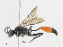  ( - CBG-A24278-B02)  @11 [ ] CreativeCommons - Attribution Share - Alike (2023) CBG Photography Group Centre for Biodiversity Genomics