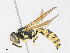  ( - CBG-A24278-F10)  @11 [ ] CreativeCommons - Attribution Share - Alike (2023) CBG Photography Group Centre for Biodiversity Genomics