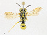  ( - CBG-A24279-A06)  @11 [ ] CreativeCommons - Attribution Share - Alike (2023) CBG Photography Group Centre for Biodiversity Genomics
