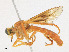  ( - CBG-A25885-G05)  @11 [ ] CreativeCommons - Attribution Share - Alike (2023) CBG Photography Group Centre for Biodiversity Genomics