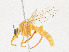  ( - CBG-A25885-G06)  @11 [ ] CreativeCommons - Attribution Share - Alike (2023) CBG Photography Group Centre for Biodiversity Genomics