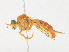  ( - CBG-A25885-G07)  @11 [ ] CreativeCommons - Attribution Share - Alike (2023) CBG Photography Group Centre for Biodiversity Genomics