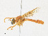  ( - CBG-A25885-G08)  @11 [ ] CreativeCommons - Attribution Share - Alike (2023) CBG Photography Group Centre for Biodiversity Genomics
