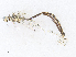  ( - CBG-A25894-H08)  @11 [ ] CreativeCommons - Attribution Share-Alike (2024) CBG Photography Group Centre for Biodiversity Genomics