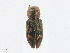  ( - CBG-A25909-C05)  @11 [ ] CreativeCommons - Attribution Share - Alike (2023) CBG Photography Group Centre for Biodiversity Genomics