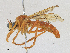  ( - CBG-A25928-E05)  @11 [ ] CreativeCommons - Attribution Share-Alike (2024) CBG Photography Group Centre for Biodiversity Genomics