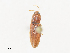  ( - CBG-A17503-A10)  @11 [ ] CreativeCommons - Attribution Share - Alike (2024) CBG Photography Group Centre for Biodiversity Genomics