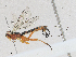  ( - CBG-A25890-F01)  @11 [ ] CreativeCommons - Attribution Share-Alike (2024) CBG Photography Group Centre for Biodiversity Genomics