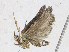  ( - CBG-A25896-H07)  @11 [ ] CreativeCommons - Attribution Share - Alike (2024) CBG Photography Group Centre for Biodiversity Genomics