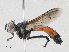  ( - CBG-A25897-F08)  @11 [ ] CreativeCommons - Attribution Share - Alike (2024) CBG Photography Group Centre for Biodiversity Genomics
