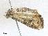  ( - CBG-A25899-E10)  @11 [ ] CreativeCommons - Attribution Share - Alike (2024) CBG Photography Group Centre for Biodiversity Genomics