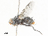  ( - CBG-A25899-H02)  @11 [ ] CreativeCommons - Attribution Share - Alike (2024) CBG Photography Group Centre for Biodiversity Genomics