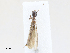  ( - CBG-A25900-G09)  @11 [ ] CreativeCommons - Attribution Share - Alike (2024) CBG Photography Group Centre for Biodiversity Genomics