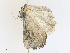  ( - CBG-A25911-F02)  @11 [ ] CreativeCommons - Attribution Share - Alike (2024) CBG Photography Group Centre for Biodiversity Genomics