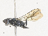  ( - CBG-A25920-D01)  @11 [ ] CreativeCommons - Attribution Share - Alike (2024) CBG Photography Group Centre for Biodiversity Genomics