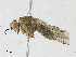  ( - CBG-A25921-D11)  @11 [ ] CreativeCommons - Attribution Share - Alike (2024) CBG Photography Group Centre for Biodiversity Genomics