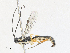  ( - CBG-A25922-A02)  @11 [ ] CreativeCommons - Attribution Share - Alike (2024) CBG Photography Group Centre for Biodiversity Genomics